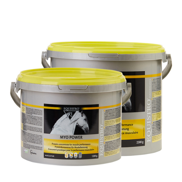 Equistro Myo Power
