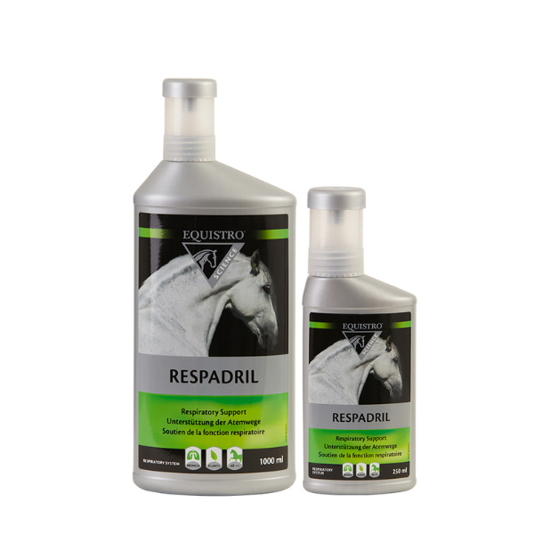 Equistro Respadril