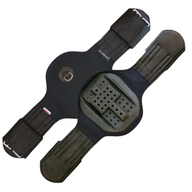 Eric Le Tixerant Dressyrgjord