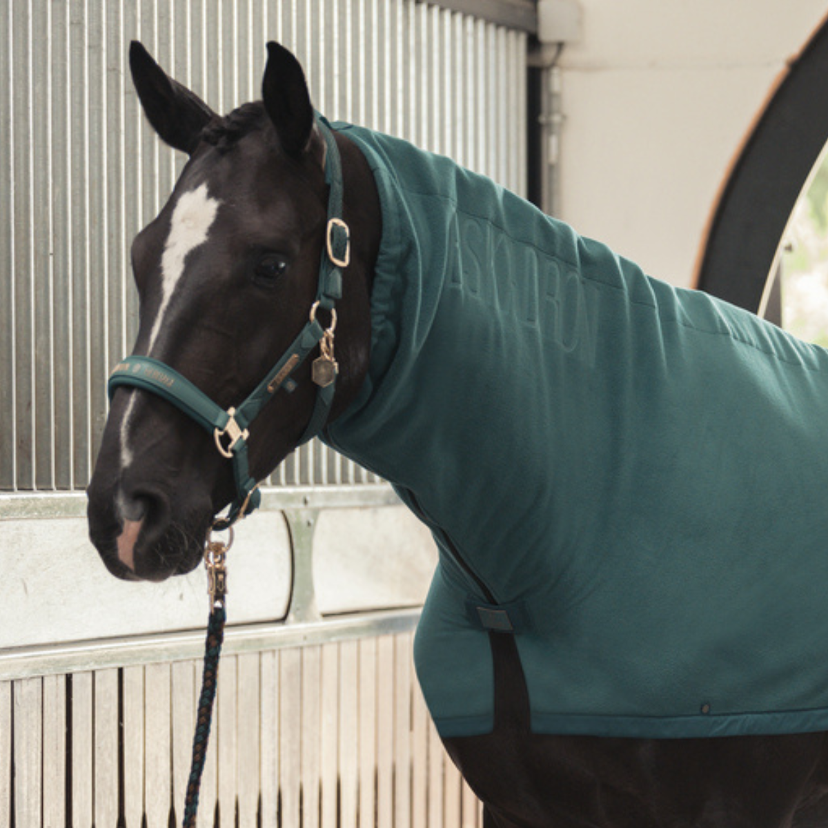 Eskadron Faux Plait Grimma