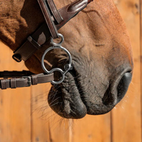 Fager Maria 2.5 rings