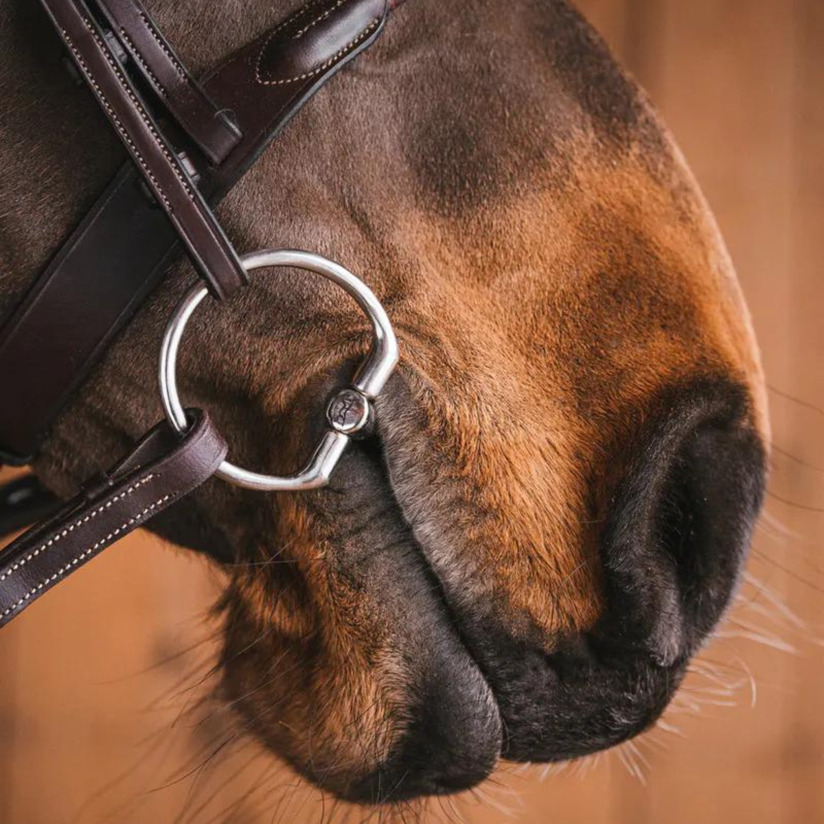 Fager Mattias Fixed rings