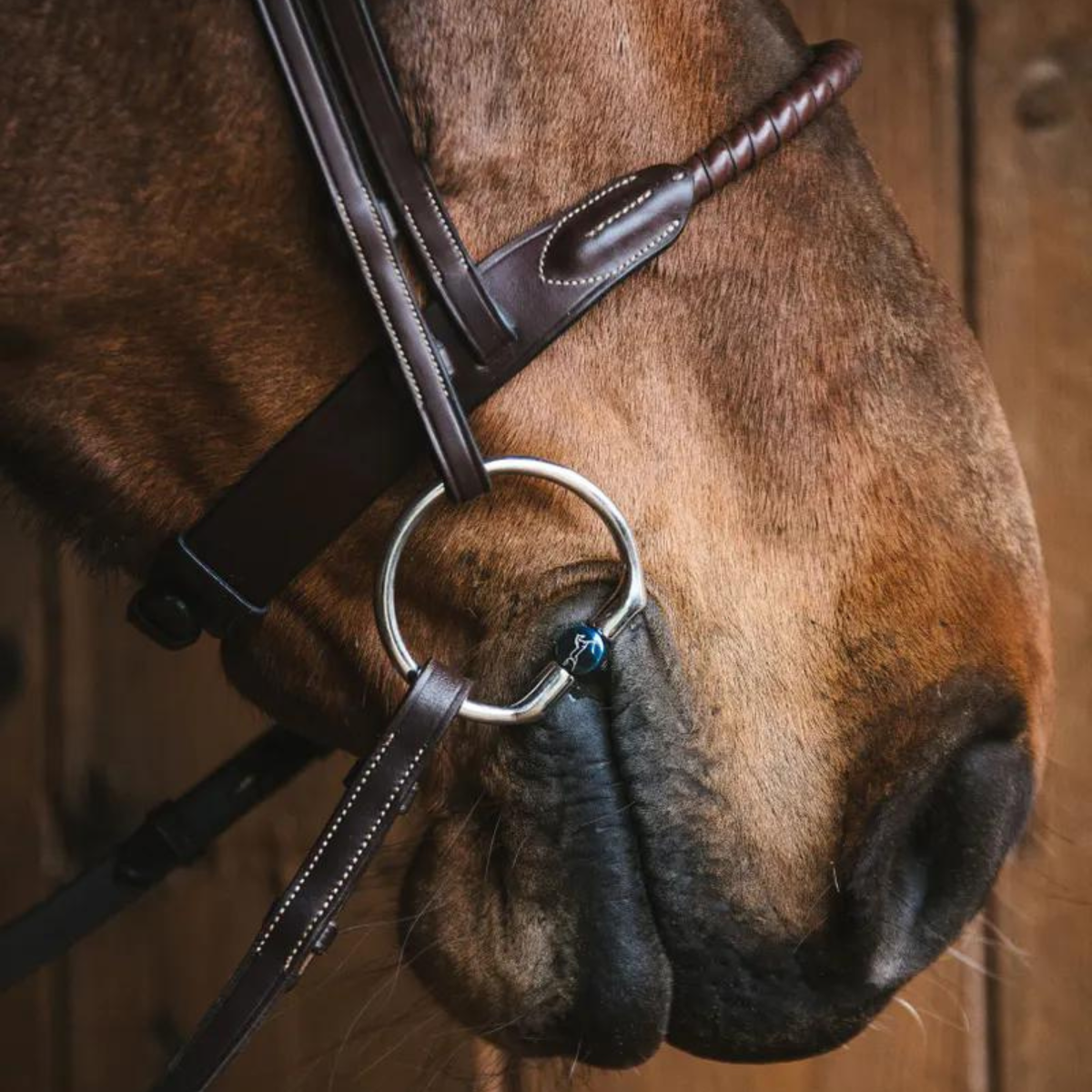 Fager Oscar Fixed rings