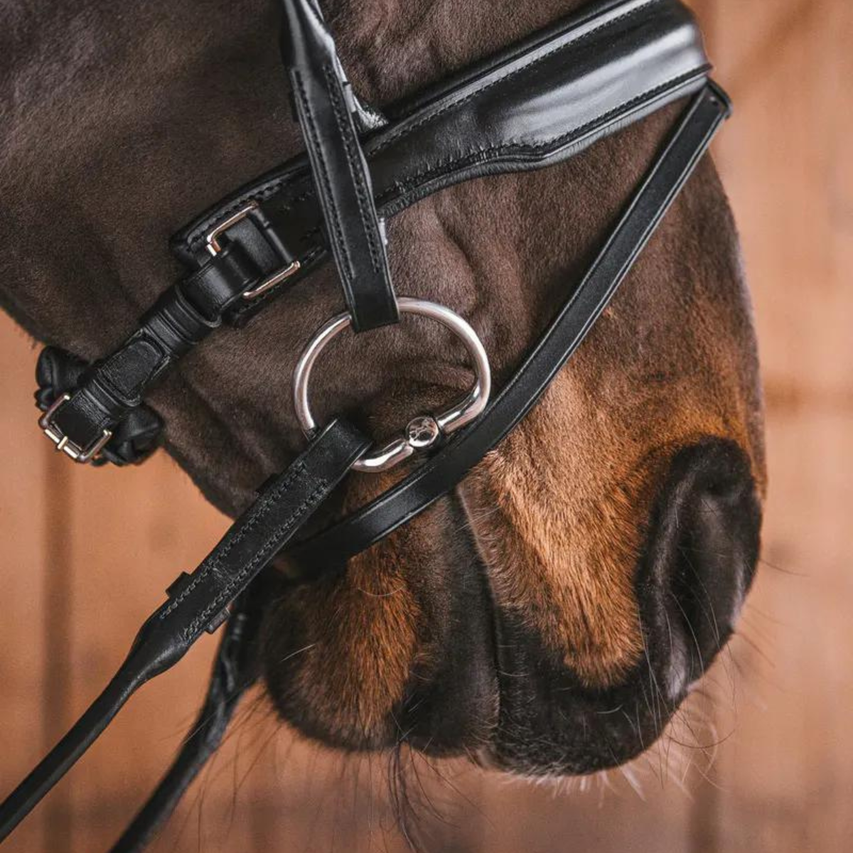 Fager Jenny Bradoon Fixed rings