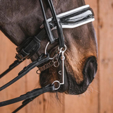 Fager Jenny Bradoon Fixed rings