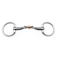 Fager Jenny Bradoon Fixed rings