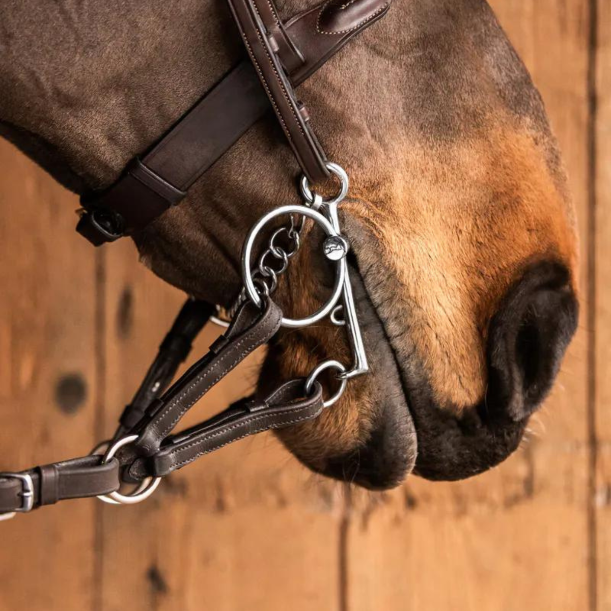 Fager Marcus Show pelham