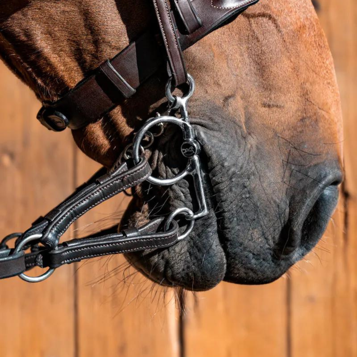 Fager Marcus Baby pelham