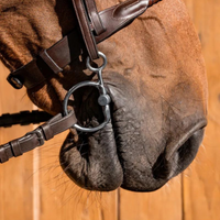 Beautiful Maria Baucher