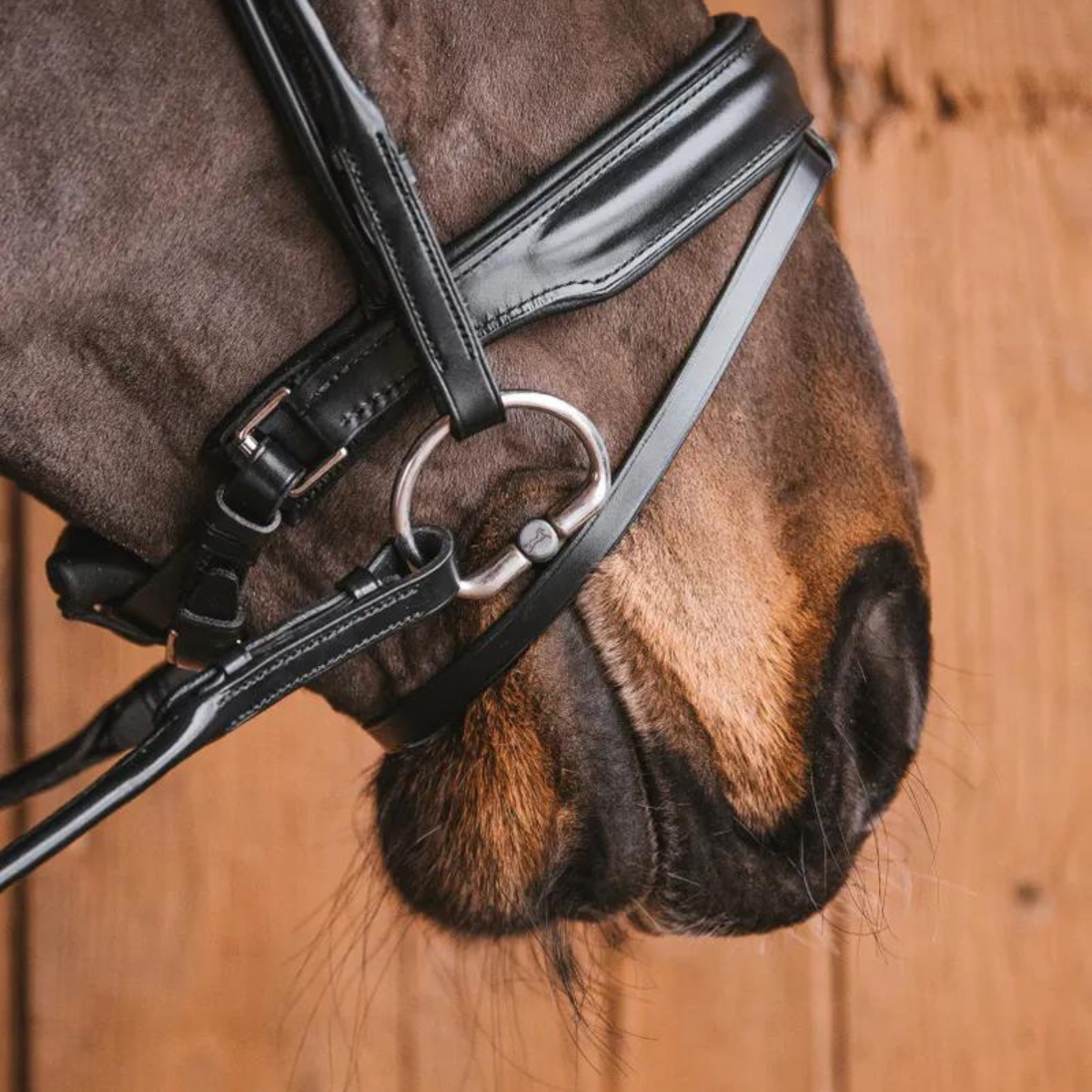 Fager Mary Bradoon Fixed rings