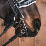 Fager Mary Bradoon Fixed rings