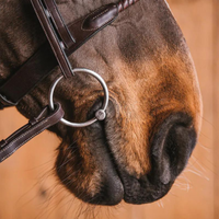 Fager Matilda Loose rings