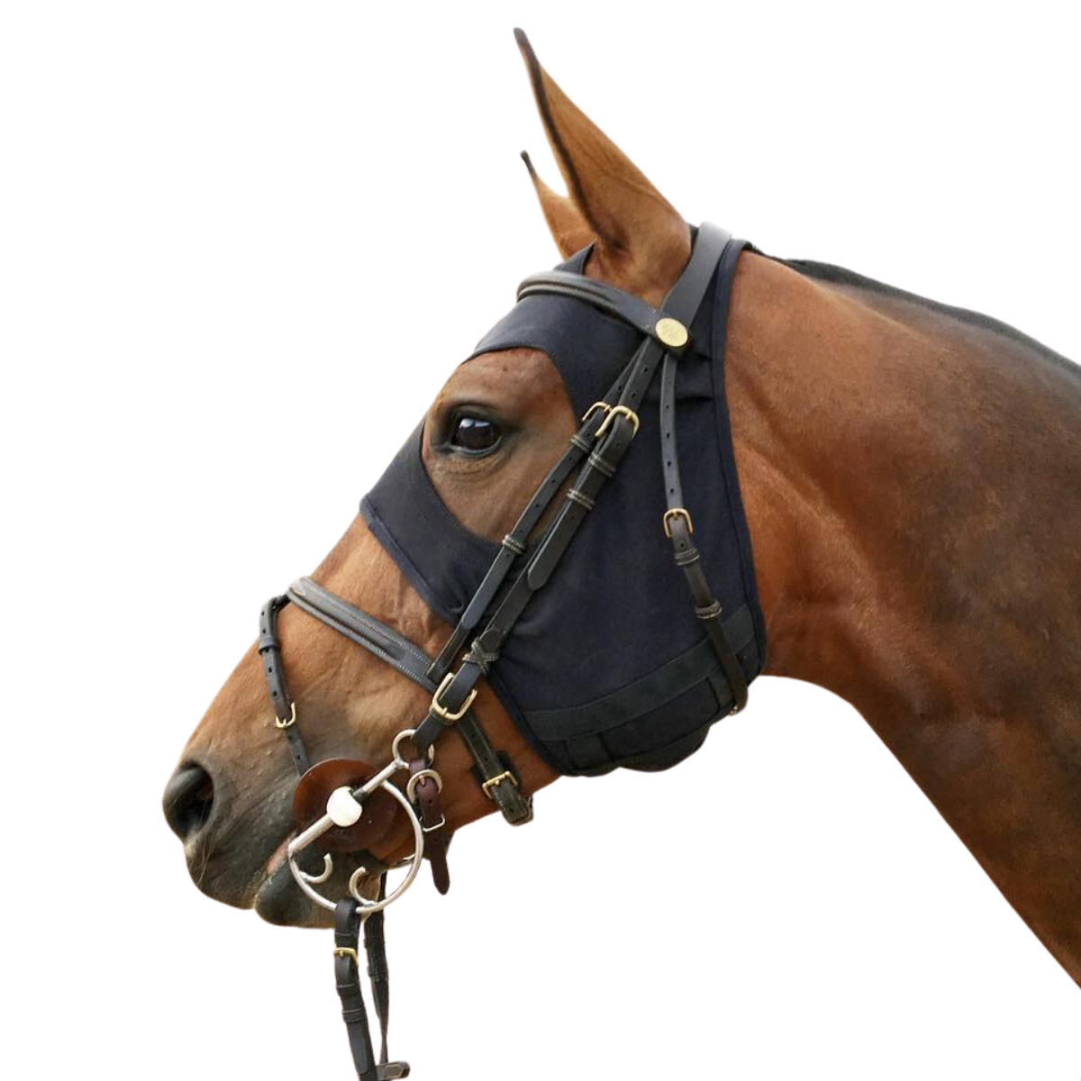 Fenwick Liquid Titanium Huva