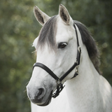 Lippo Basic Slim leather halter