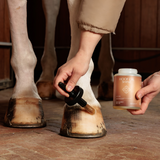 Grooming Deluxe Hoof Oil Shine