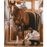 Grooming Deluxe Hoof Pencil