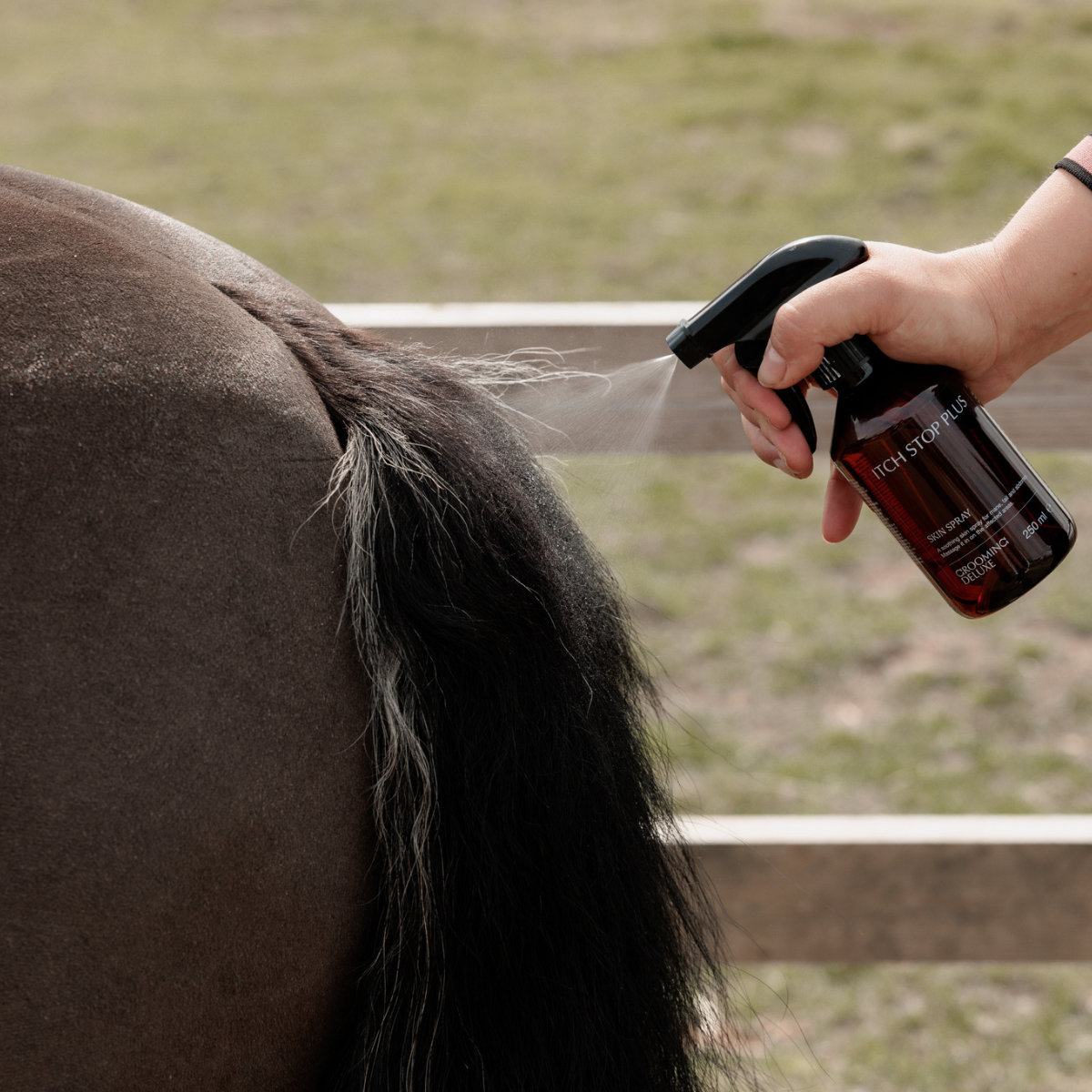 Grooming Deluxe Itch Stop Plus