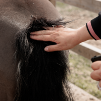 Grooming Deluxe Itch Stop Plus