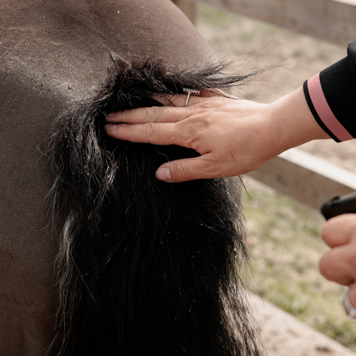 Grooming Deluxe Itch Stop Plus