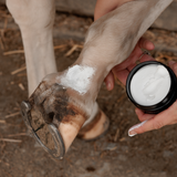 Grooming Deluxe Mud Fever Creme Plus