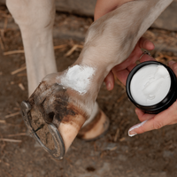 Grooming Deluxe Mud Fever Creme Plus