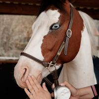 Grooming Deluxe Sunblock