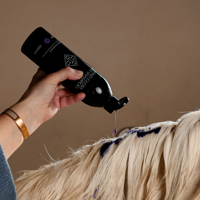 Grooming Deluxe Almond Gloss Purple Shampoo