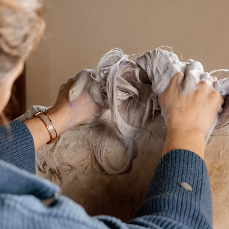 Grooming Deluxe Almond Gloss Purple Shampoo