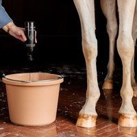 Grooming Deluxe Almond Gloss Purple Shampoo