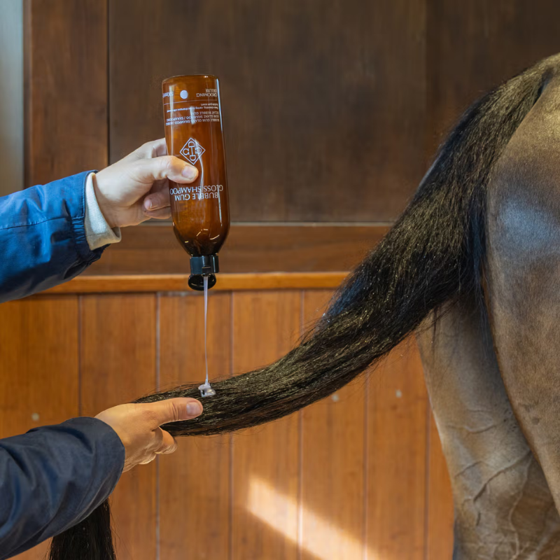 Grooming Deluxe Gloss Shampoo Bubble Gum