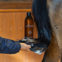 Grooming Deluxe Gloss Shampoo Bubble Gum