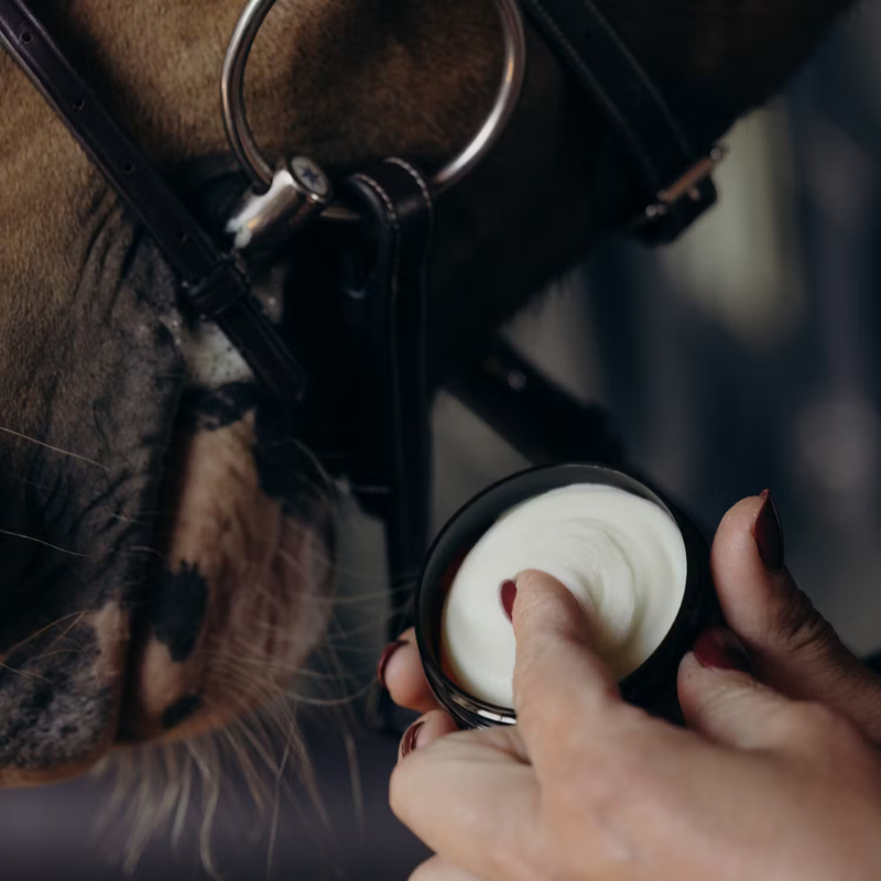 Grooming Deluxe Mouth and Bit Butter