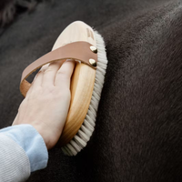 Grooming Deluxe Overall Brush Body Soft Shine