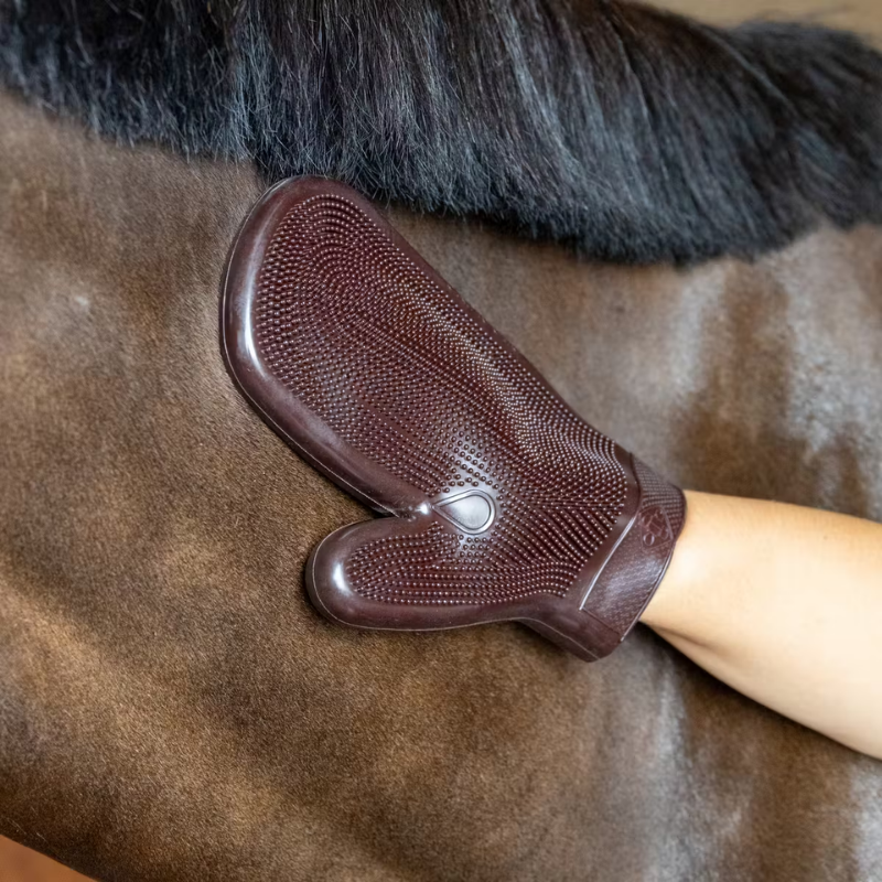 Grooming Deluxe Rubber Glove