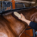 Grooming Deluxe Wooden Classic Brush long soft