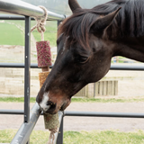 Grooming Deluxe Wooden Relax Horse Toy De-Stress