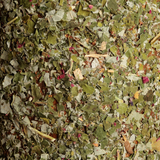 Grooming Deluxe Wooden Relax Horse Toy Freedom