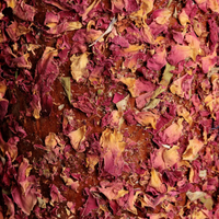 Grooming Deluxe Wooden Relax Horse Toy Freedom