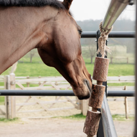 Grooming Deluxe Wooden Relax Horse Toy Nature