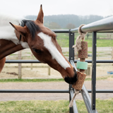 Grooming Deluxe Wooden Relax Horse Toy Salt Airways