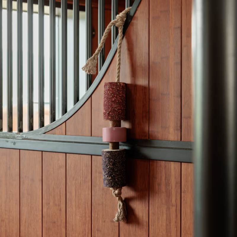 Grooming Deluxe Wooden Relax Horse Toy Salt Sammy