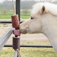 Grooming Deluxe Wooden Relax Horse Toy Salt Sammy