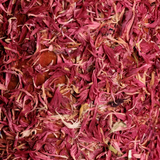 Grooming Deluxe Wooden Relax Horse Toy Unicorn Joy