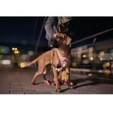 Hurtta Venture No-Pull Sele