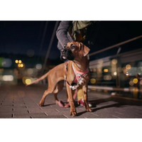 Hurtta Venture No-Pull Sele