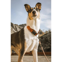 Hurtta Casual Necklace