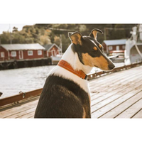 Hurtta Casual Necklace