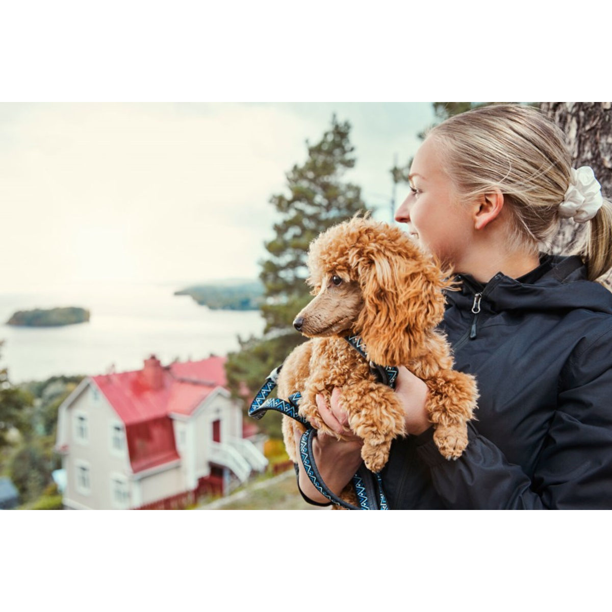 Hurtta Razzle-Dazzle Leash