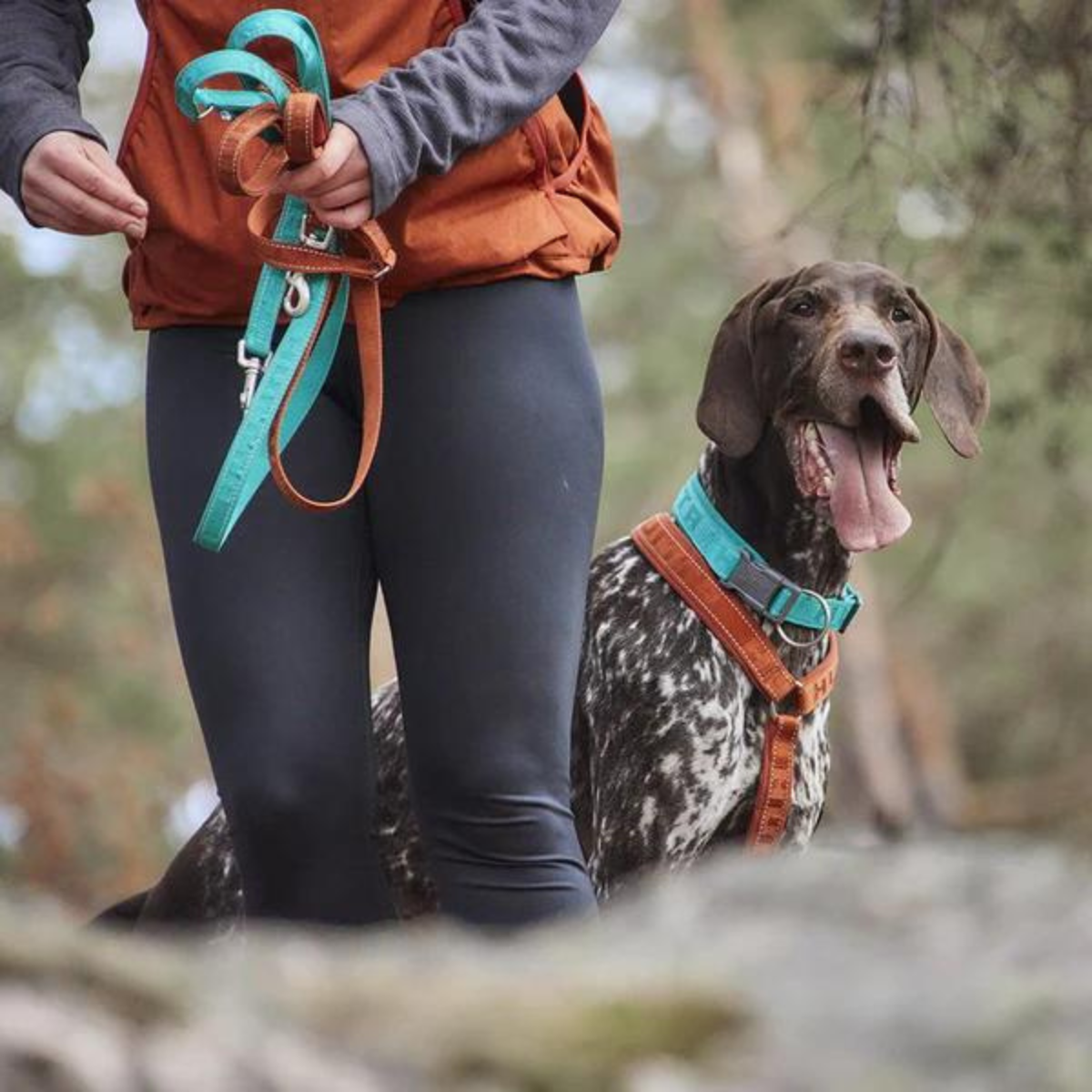 Hurtta Casual Reflective Leash ECO