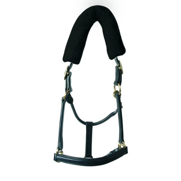 Horse Guard Medilamb Nackludd